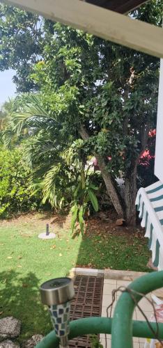 Κήπος έξω από το Appartement charmant à Baie Mahault avec belle terrasse – 30 m²