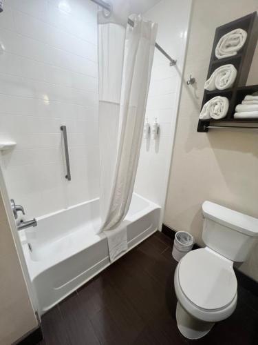 a white bathroom with a toilet and a shower at Hampton Inn & Suites Stroudsburg Bartonsville Poconos in Stroudsburg