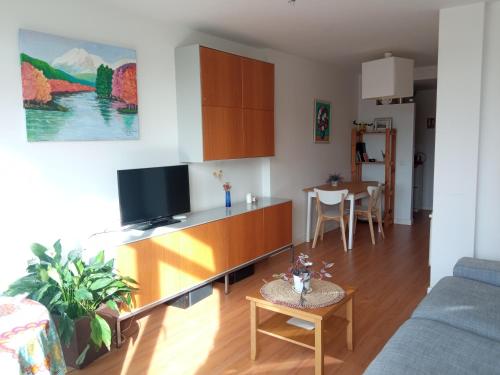 TV a/nebo společenská místnost v ubytování Vivienda con luz y vistas