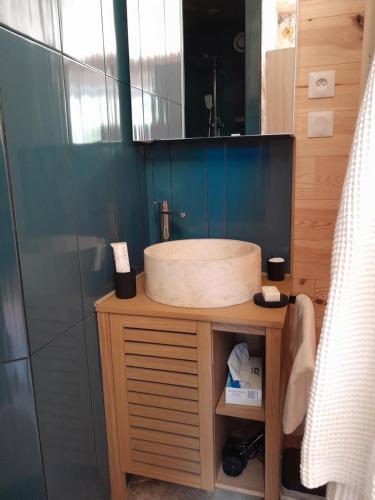 une salle de bain avec un lavabo et une douche en verre dans l'établissement Maison de la Truffière, à Bertric-Burée