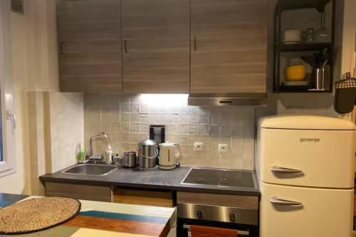 une cuisine avec un évier et un réfrigérateur dans l'établissement Apartment near Fort de Montrouge, à Montrouge