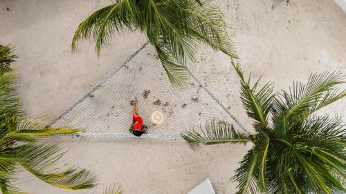 an overhead view of a person sitting on a net between two palm trees at La Cozinha Bungalow in Barra Grande