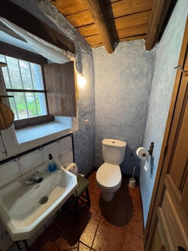 a small bathroom with a toilet and a sink at Alma de Villuercas CR-CC-0070 in Cabañas del Castillo