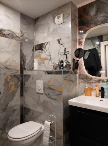 une salle de bain avec des toilettes blanches et un lavabo dans l'établissement Dream love appart, à Strasbourg