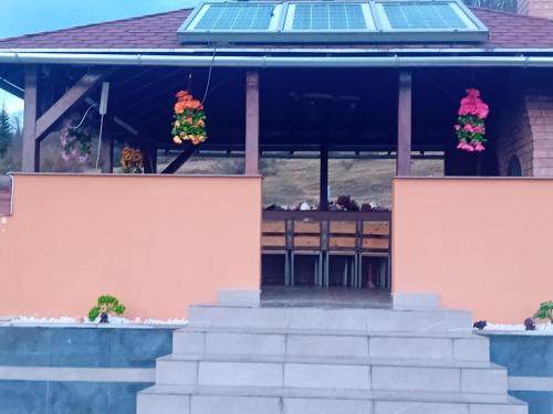 a house with two potted plants on the porch at Casa Jazmin Covasna in Covasna