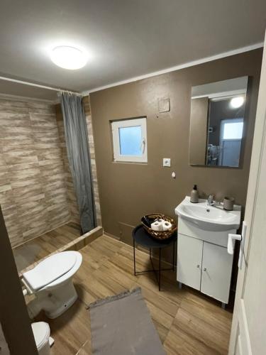 a bathroom with a toilet and a sink at Cabanute Luca Ama Bran in Bran