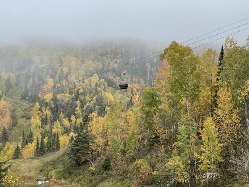 a gondola ride in the air over a forest at Lutsen Mtn Ski in Ski out Gorgeous Views of Moose Mtn in Lutsen