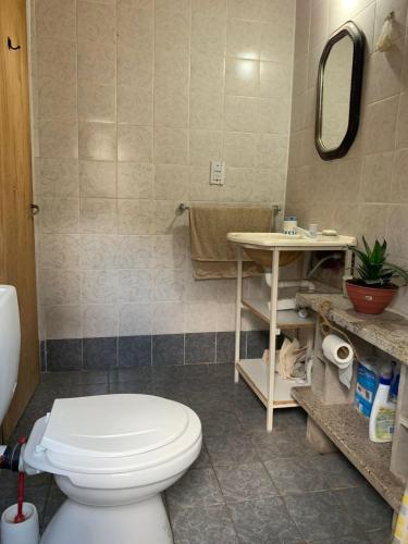 a bathroom with a toilet and a sink and a mirror at La Roca in Estancia Vieja