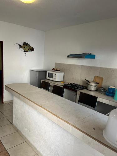 a kitchen with a counter top and a microwave at Hotel Albatros Palace - Bungalow G in Manzanillo