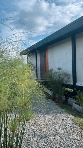 a house with a blue roof and some plants at cabaña mulata in La Tebaida
