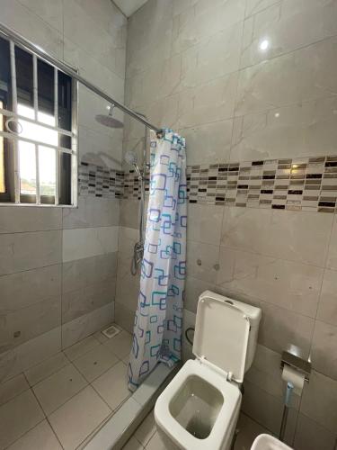 a bathroom with a toilet and a shower curtain at Reyah Apartment in Entebbe