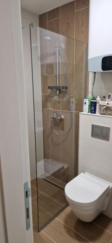a bathroom with a toilet and a glass shower at Apartman Mali princ Jahorina in Jahorina