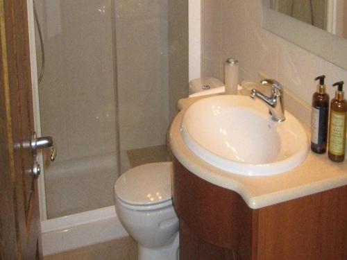 uma casa de banho com um lavatório, um WC e um chuveiro em Apartamentos Casbas em Sorripas