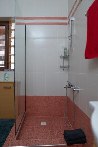 a shower with a glass door in a bathroom at Garden's House Pozar in Aridaia in Aridaia