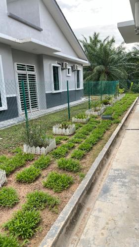 a garden in front of a house with plants at DLaman Hijau in Merlimau