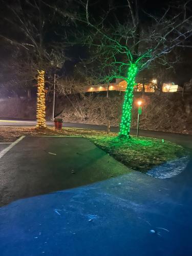 a green tree in the middle of a street at night at Inn of the Dove - Romantic Luxury Suites with Jacuzzi & Seasonal Fireplace at Harrisburg-Hershey-Philadelphia, PA in Harrisburg