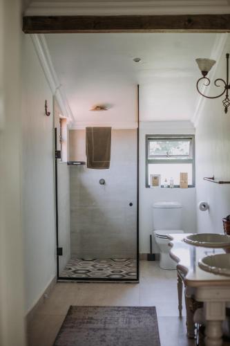 a bathroom with a shower with a toilet and a sink at Seaforth Country House in Ballito