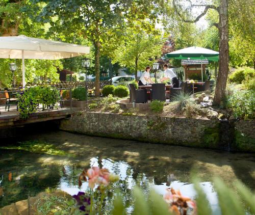 a garden with people sitting at tables and a pond at Forellenhof Rössle Hotel & Restaurant in Honau