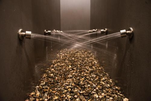 a large group of nuts on a wall at Terme di Bacco - design apartaments and spa in Catania