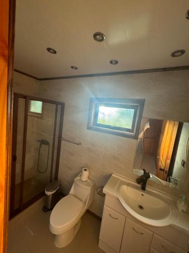 Fotografie z fotogalerie ubytování Casa Parcela Vista Verde v destinaci Panguipulli