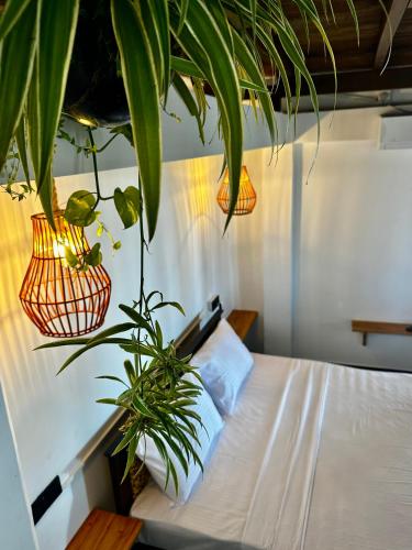 Surf Dom hotel and restaurantにあるベッド