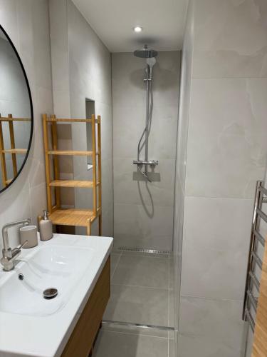 ein Badezimmer mit Dusche und Waschbecken und Dusche in der Unterkunft Juli Kop in Kopaonik