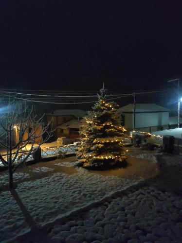 Φωτογραφία από το άλμπουμ του σπιτοκαλυβάκι στη Φλώρινα