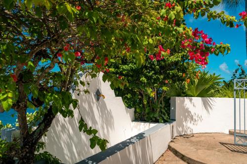 a white fence with red flowers on a tree at Blue Rhapsody Villa in Glacis