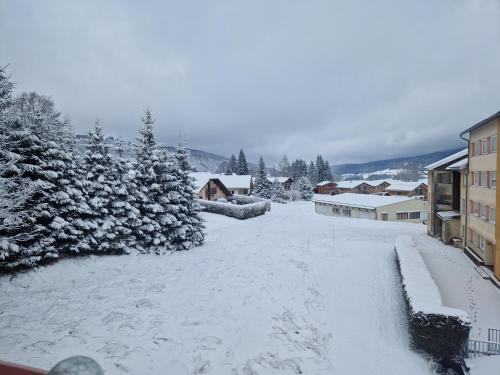 a snow covered yard with trees and buildings at Enjoy in Les Rousses