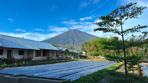 a mountain in the distance with a house and a road at Rautani Sembalun in Sembalun Lawang