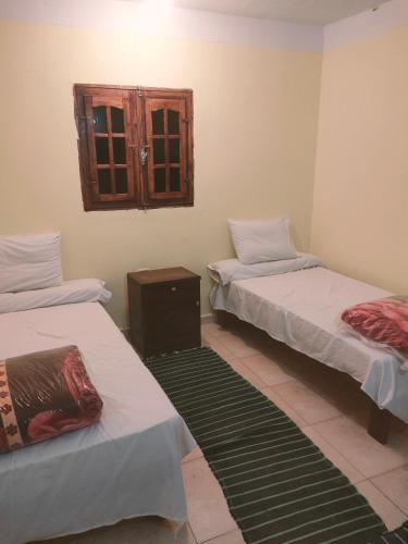 على عمر جبه