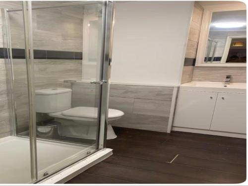 Un baño con inodoro y ducha de cristal. en Luxurious Home Tottenham Court Road CharingCross Leicester Square, en Londres