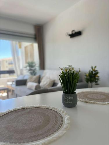 Appartement , Le Cap d 'Agde photo 14