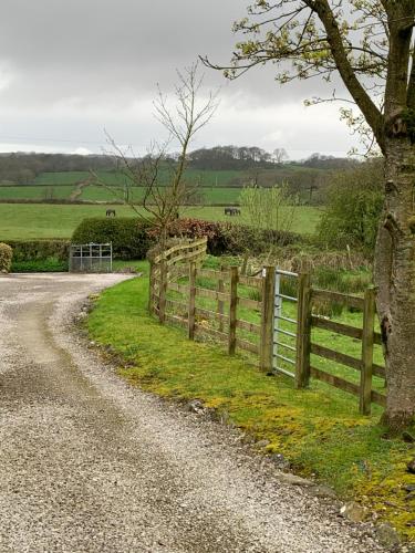 a fence on the side of a road with a tree at Willow View, Cartmel in Cartmel