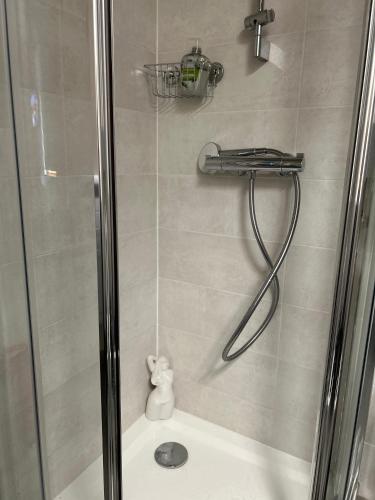 une douche avec une porte en verre à côté d'une douche. dans l'établissement Apartment Hyper Center Strasbourg & Petite France - Entire apartment, à Strasbourg