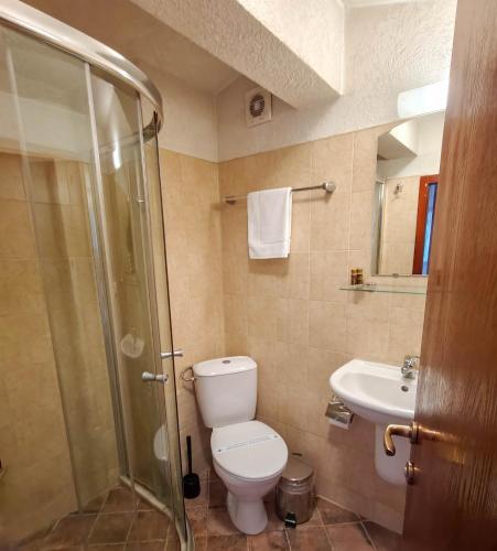 a bathroom with a toilet and a shower and a sink at Todeva House Hotel and Tavern in Bansko