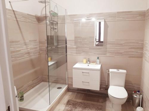 une salle de bain avec une douche, des toilettes et un lavabo dans l'établissement Lyon Centre Warm apartment full of charm, à Lyon