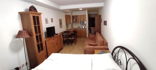 Studio apartman Tatran A-29