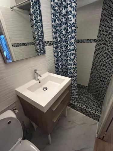 une salle de bain avec un lavabo et une douche dans l'établissement Apartment, wifi, city center, terrasse, à Montpellier
