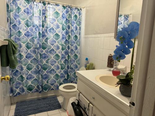 a bathroom with a blue shower curtain and a toilet at Kozy Bahamas Getaway in Nassau