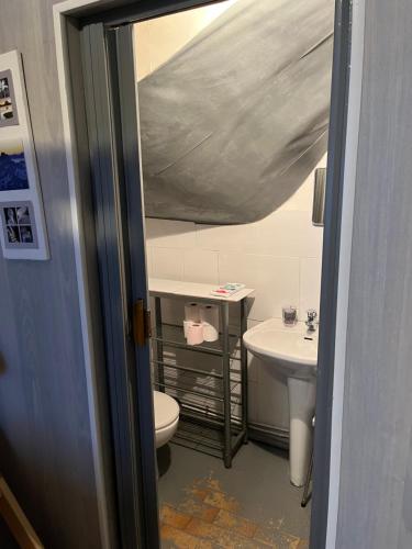 une salle de bain avec toilettes et lavabo dans l'établissement Studette fonctionnelle, à Eaux-Bonnes