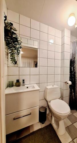 a bathroom with a toilet and a sink and a mirror at Stavanger Sea 1 Ultra Central Dali Apartament General Shop Open 7 l 7 in Stavanger