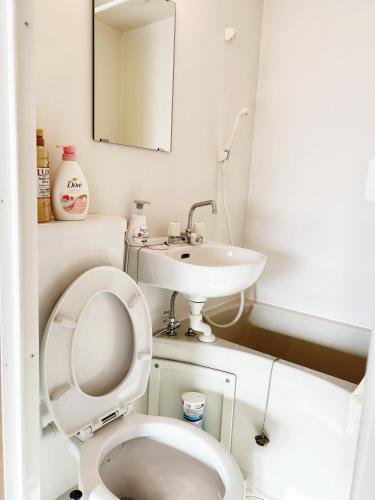 a bathroom with a toilet and a sink at 浅草スカイガーデンホテル in Tokyo