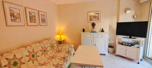 un salon avec un canapé et une télévision à écran plat dans l'établissement T2 150m from the beach, à Fréjus