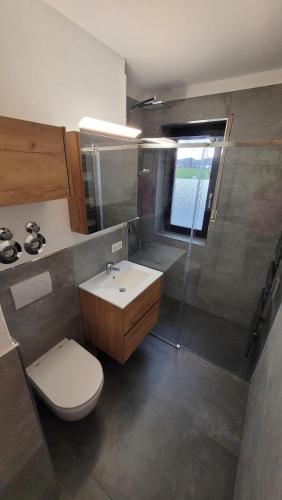 ein Badezimmer mit Toilette, Waschbecken und Dusche in der Unterkunft Ferienwohnung Hedy in Prien am Chiemsee