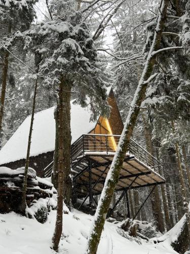 a cabin in the woods in the snow at Small Forest in Batumi