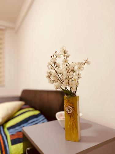 casa Felice