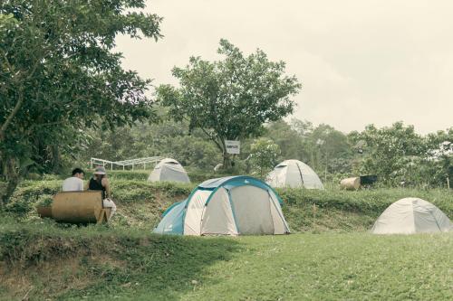 Imagen de la galería de The Apiary Mountain Camp and Farm, en Tanay