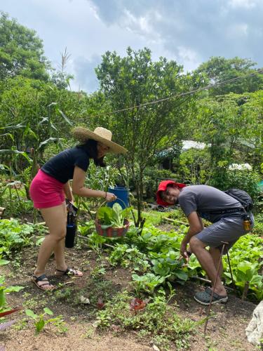 Clientes alojados en The Apiary Mountain Camp and Farm