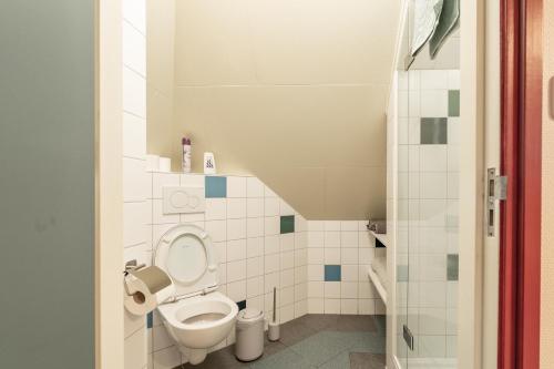 a small bathroom with a toilet and a shower at Logeren bij de Ruimte in Nijeholtpade
